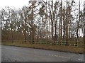 Woods by Taplow Common Road, Burnham in SL1 8JQ