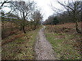Track up through Hazel Slade to Coppice Hill in ST17 0TN