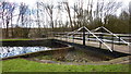 Footbridge Over Sankey Canal in WA12 8QS
