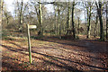 Signpost in King's Wood in HP15 7FP