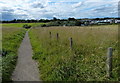 Path to Blackhall Colliery Industrial Estate in TS27 4LX