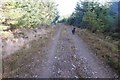 Forest Track near Scoot More in AB37 9BR