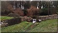 Source of the Shipton stream in GL54 4HY