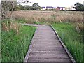 Boardwalk around wetland, Gosling Sike Farm in CA3 9HW