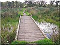 Boardwalk across a pond in CA3 9HW