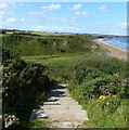 Steps down to the beach at Dene Mouth in TS27 4NN