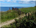 Posts crossing the England Coast Path in TS27 4NN