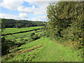 Steep path to Coombe Wood Farm in EX10 0XU