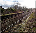 Borderlands Line south from Cefn-y-bedd station, Flintshire in LL12 9YR