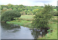 Afon Teifi at Llanfair Clydogau, Ceredigion in SA48 8LG