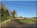 Marsh Road, Thurne, a no through road in NR29 3BX