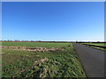 Pools Road on Grunty Fen in CB6 3QE
