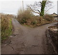 Fork in the road near Pant Teg Farm, Lisvane, Cardiff in CF14 0UF