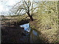 The River Bourne near Hoggrill's End in B46 2AH