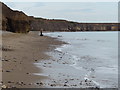 Beach and cliffs north of Seaham in SR7 7AF