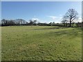 Farmland at Pembridge in HR6 9HB