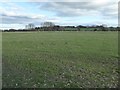 Farmland near Luntley in HR6 9ED