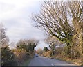 Puddletown Road with earth banks on the right in BH20 6AJ