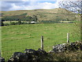 Towards Semab Hill from path near Pool of Muckhart in FK14 7JR