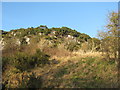 Rocky outcrop near Whitekirk in EH42 1XT