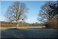 Frosty Field near Peper Harow in GU8 6FF