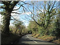 Callow Hill Lane Near Callow Hill in B97 5PU