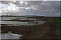 River Crouch path near Burnham marina, looking west in SS4 2RB
