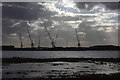 Cranes on Wallasea Island in SS4 2RB