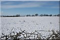 Field under snow in KA3 6EW