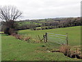 Llwybr cyhoeddus ger Tyle / A public footpath near Tyle in SA32 8QP