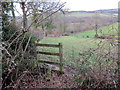 Llwybr ger Tirpab / Footpath near Tirpab in SA32 8SL