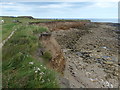 Souter Point at Whitburn in SR6 7DY