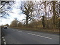 London Road, Great Missenden in HP16 0DL