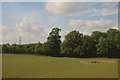 Field and Long Copse in TA21 8FJ