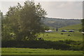 Farmland, Culm Valley in EX5 4NY