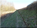 Footpath between the quarry and the railway in B46 1DT