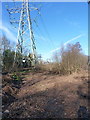 Pylons in Birch Wood in B76 0BB