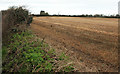 Arable field near Leeches Farm in PL30 3EG