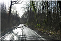 Wet lane through the woods in ME13 9PH
