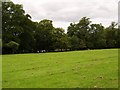 View to duck pond in Dalmuir Park in G81 4GE