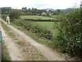 Footpath near Prior's Frome in HR1 4EG