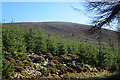 The Lower Slopes of Little Conval in AB38 9ND