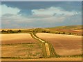 Farmland near Roughridge Hill, Wiltshire in SN10 2LQ