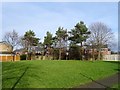 Green space off Pennine Close in NG10 4BB