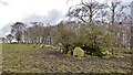 Boulders in field beside Ridge Wood in DE56 2RE