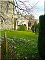 Snowdrops in Elvaston churchyard in DE72 3WA