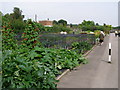 Model Vegetable Gardens at Hall Place in DA5 1PN