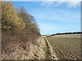 Footpath near Brightwalton Holt in RG20 7DA