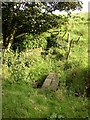 Footbridge and stile, East Bierley, Hunsworth in BD4 6YZ