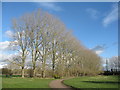 Poplars at Emberton Country Park in MK46 5FD